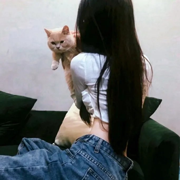 施佩萨尔特的客栈